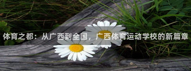vsport体育官方正版app集团：体育之都：从广西