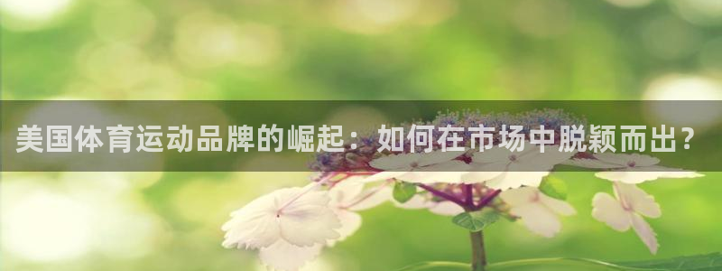 vsport体育官网下载官方客服电话：美国体育运动品