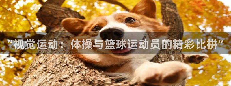 vsport体育官网下载平台假的吗是真的吗：“视觉运