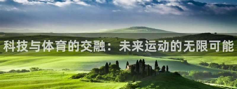 vsport体育官方正版app集团logo：科技与体