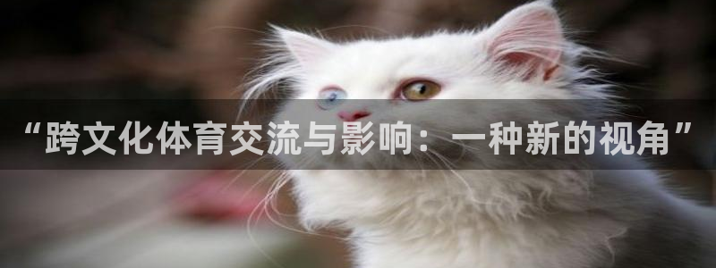 vsport体育官网下载平台注册要钱吗：“跨文化体育