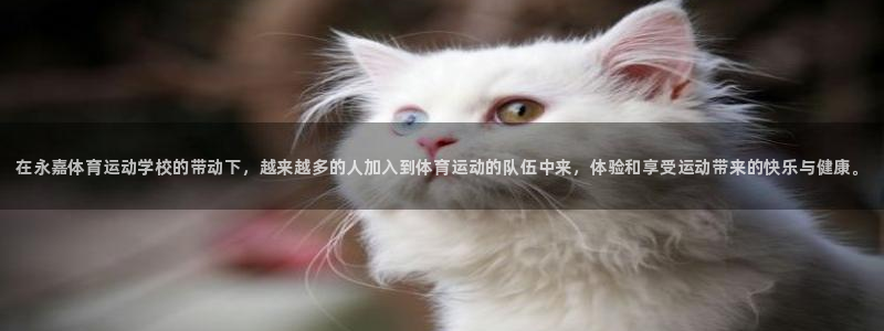 vsport体育官网下载招商电话：在永嘉体育运动学校
