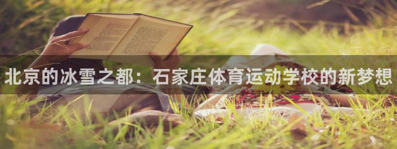vsport体育官网下载是干嘛的公司：北京的冰雪之都