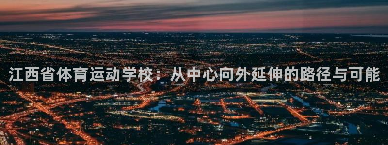 vsport体育官方正版app新能源