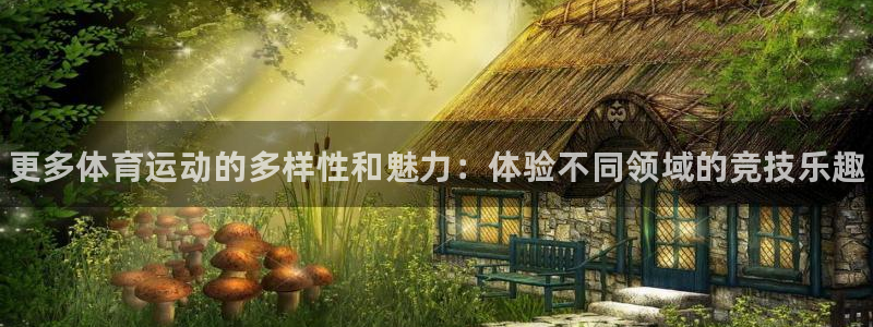 vsport体育官网下载官方客服电话：更多体育运动的多样性和