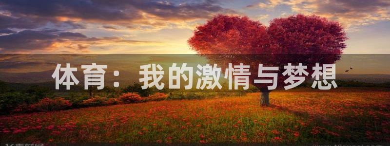 vsport体育官方正版app官网
