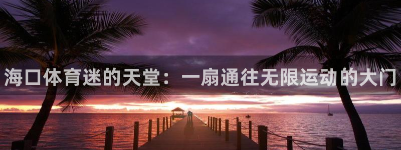 vsport体育官网下载注册：海口体育迷的天堂：一扇
