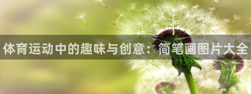 海南vsport体育官网下载：体育运动中的趣味与创意