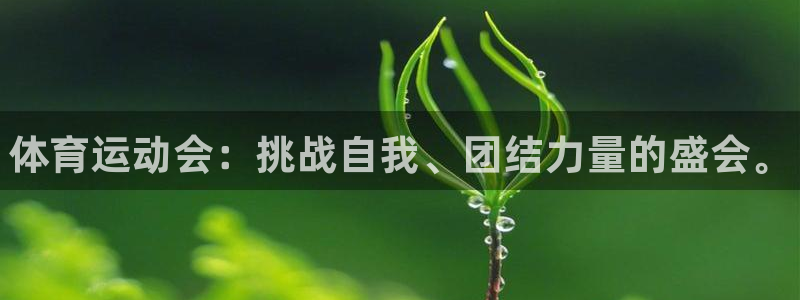 vsport体育官方正版app娱乐首页网站大全：体育运动会：