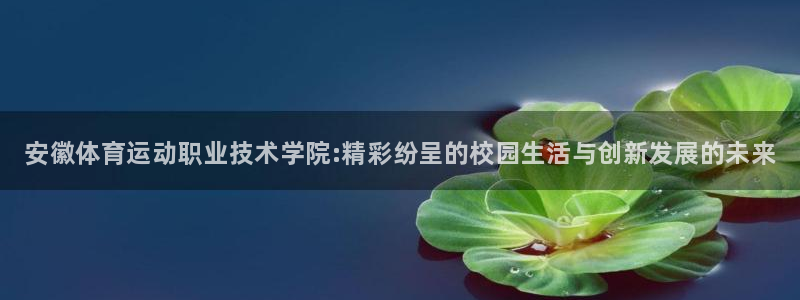 vsport体育官网下载招商电话是多少啊：安徽体育运动职业技