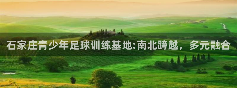 vsport体育官网下载招商电话是多少