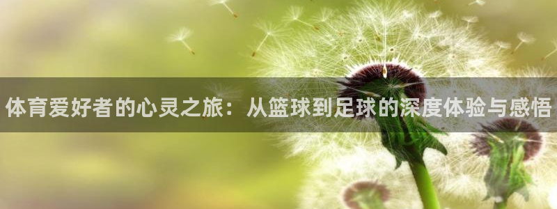 vsport体育官方集团官网