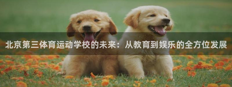 注册vsport体育官方正版app：北京第三体育运动