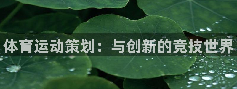 vsport体育官网下载平台是正规平台吗知乎：体育运动策划：