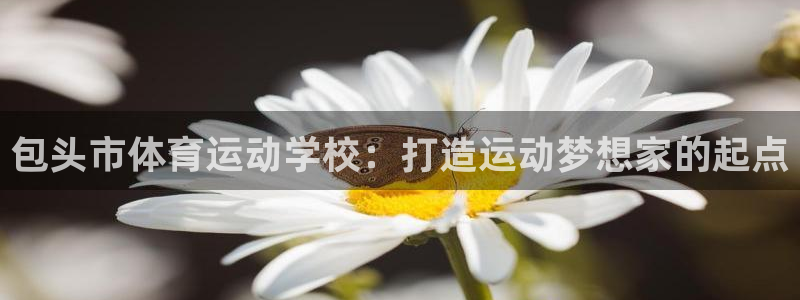 vsport体育官方正版app娱乐首页官网下载
