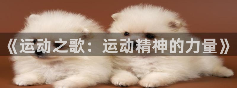 vsport体育官网下载联系电话：《运动之歌：运动精