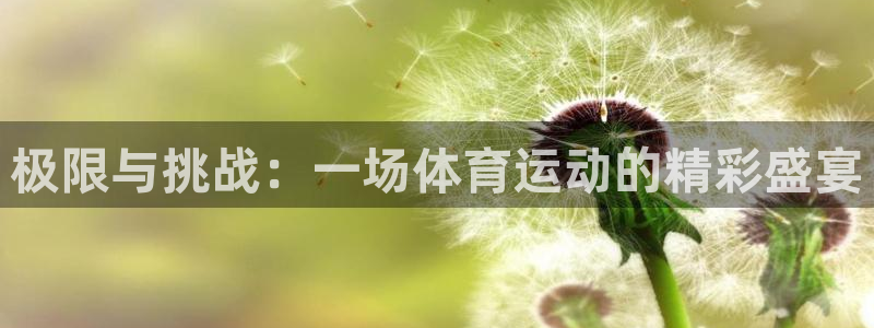 vsport体育官方正版app新能源