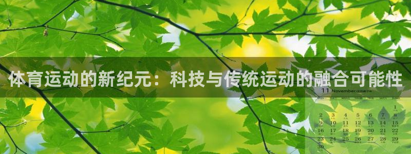 vsport体育官网下载平台APP：体育运动的新纪元：科技与