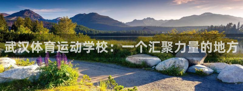 vsport体育官方正版app五金厂：武汉体育运动学校：一个