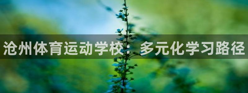 vsport体育官网下载招商电话号码是多少啊：沧州体育运动学