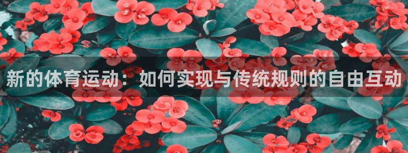 vsport体育官方正版app娱乐40996：新的体育运动：