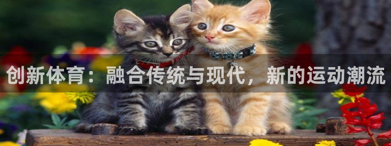 vsport体育官方正版app五金厂：创新体育：融合