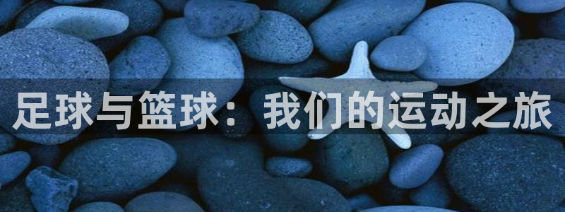 vsport体育官方正版app娱乐代理怎么样