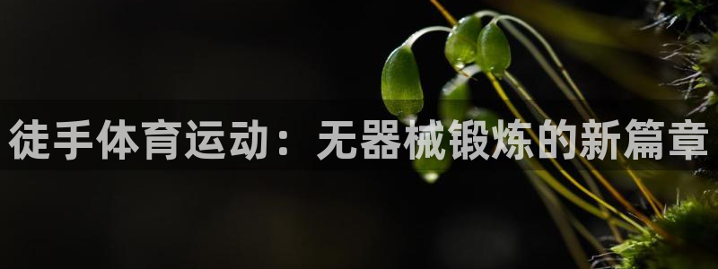 vsport体育官网下载招商：徒手体育运动：无器械锻