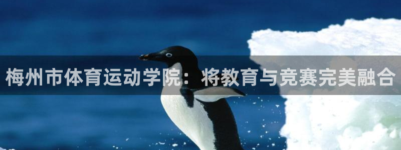 vsport体育官方正版app娱乐代理怎么样：梅州市体育运动