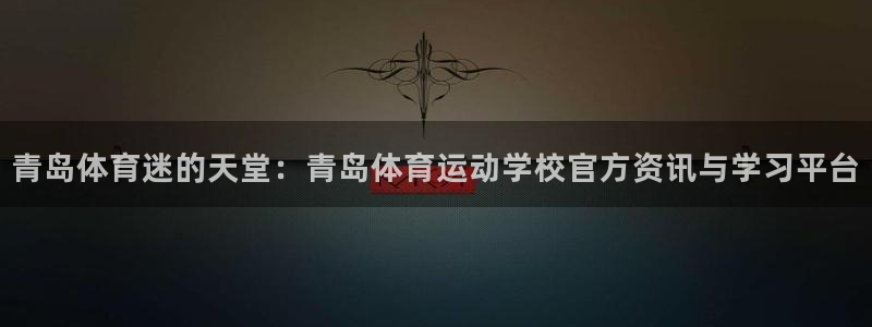 德国vsport体育官方正版app集团：青岛体育迷的天堂：青