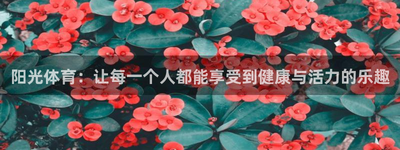 德国vsport体育官方正版app集团:阳光体育:让每一个人