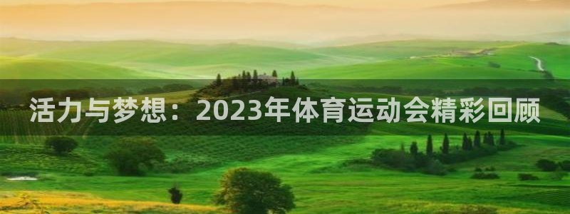 vsport体育官方正版app娱乐首页网站大全：活力与梦想：