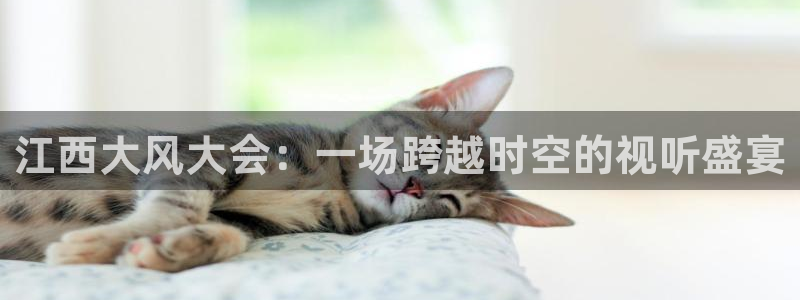 88看球直播在线观看：江西大风大会：一场跨越时空的视听盛宴