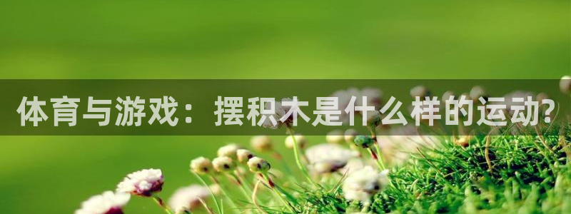 VSport体育平台-胜利因您更精彩：体育与游戏：摆积木是什
