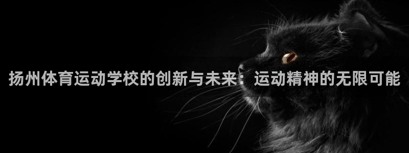  vsport体育阿根廷：扬州体育运动学校的创新与未来：运动精