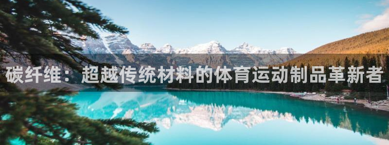 Vsport体育官方网站入口：碳纤维：超越传统材料的体育运动