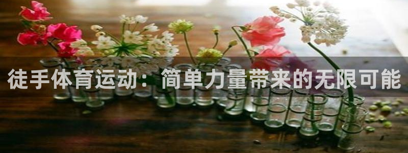 vsport体育平台app下载安装免