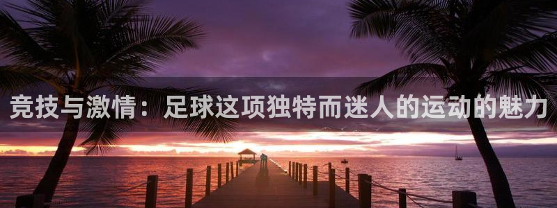 vSport体育app最新版本更新内