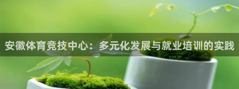 vsport体育：安徽体育竞技中心：多元化发展与就业培训的实