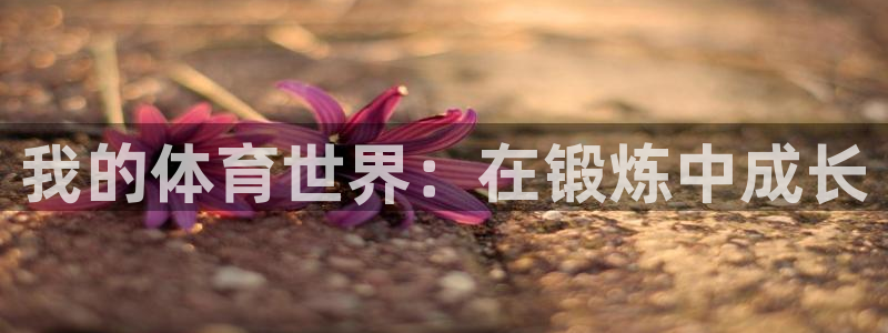 vsport体育平台app：我的体育