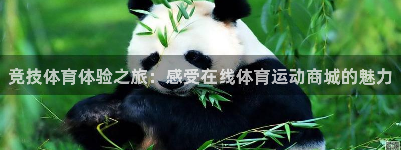 vsport体育在线官网：竞技体育体验之旅：感受在线体育运动