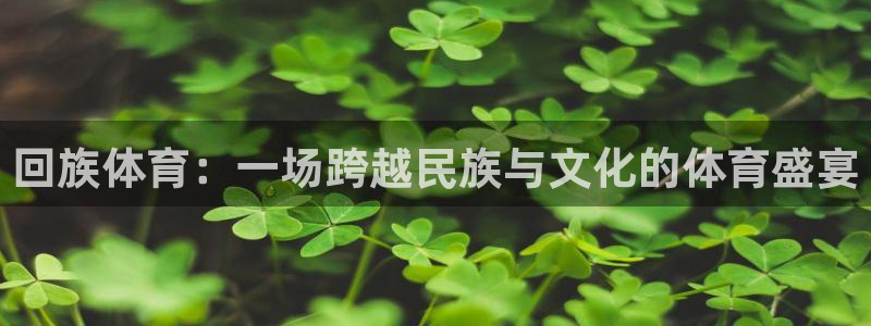 vsport体育官网：回族体育：一场跨越民族与文化的体育盛宴