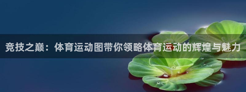 vsport体育官网：竞技之巅：体育